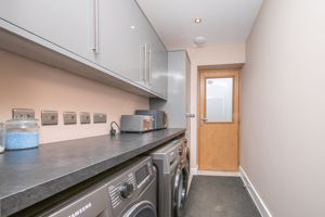 THE CONIFERS- click for photo gallery